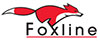 Foxline express parcels & taxi trucks